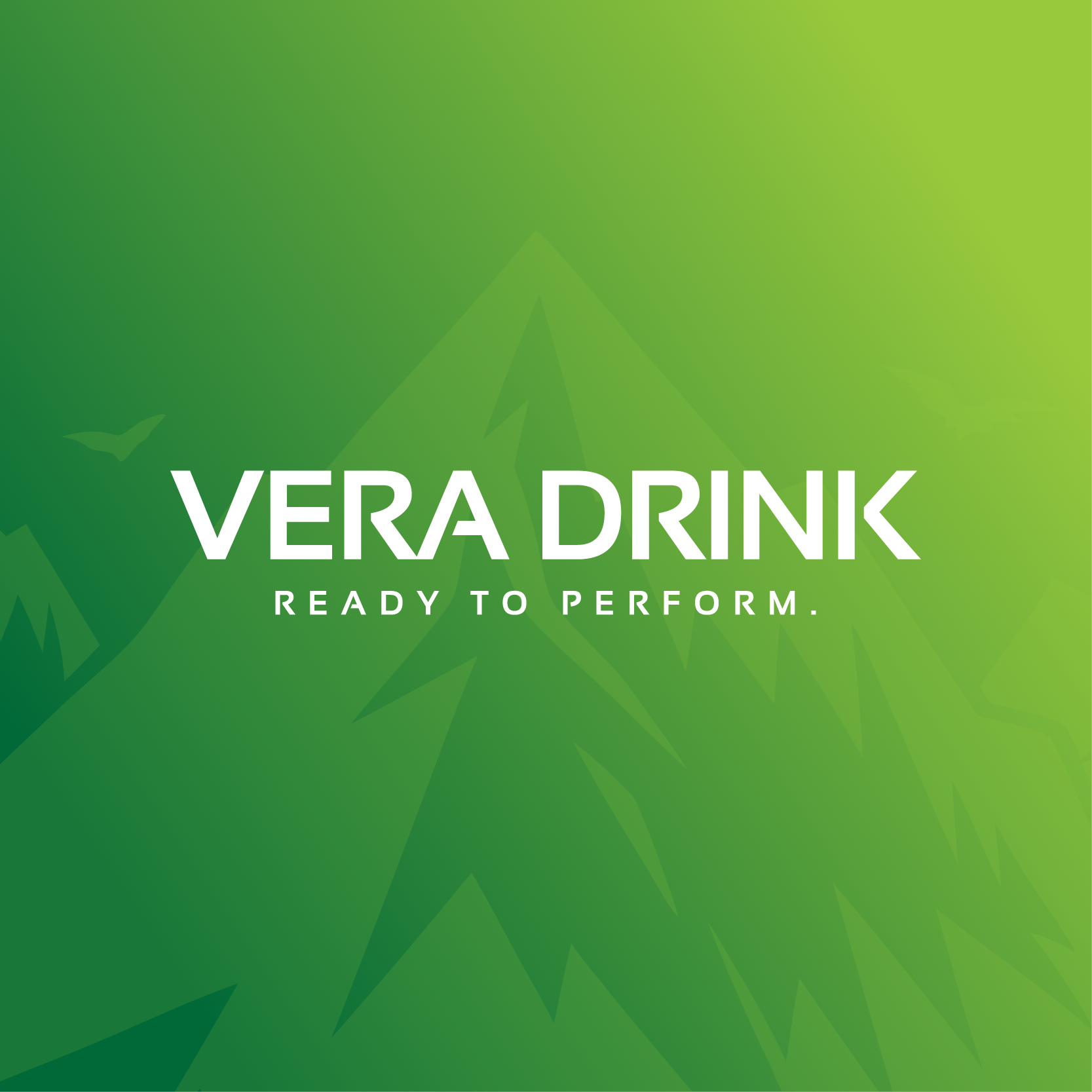 VERA Drink ApS logo